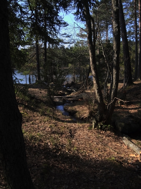 GeggaHajkTyresta2014-03-29-097