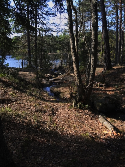 GeggaHajkTyresta2014-03-29-098