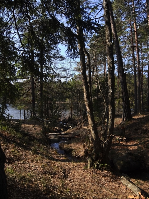 GeggaHajkTyresta2014-03-29-099