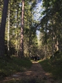 GeggaHajkTyresta2014-03-29-110