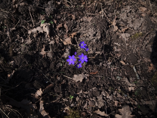GeggaHajkTyresta2014-03-29-112