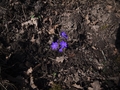 GeggaHajkTyresta2014-03-29-112
