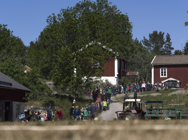 Miniscout2014-008