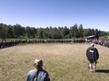 Miniscout2014-022