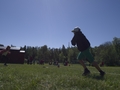 Miniscout2014-040