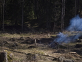 Camp_Staff_Seminar_2014-021