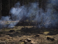 Camp_Staff_Seminar_2014-022