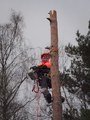 Camp_Staff_Seminar_2014-102