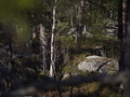Camp_Staff_Seminar_2014-148