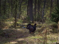Camp_Staff_Seminar_2014-204