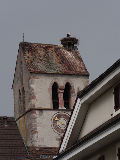 SwissVaccation_20140814-010