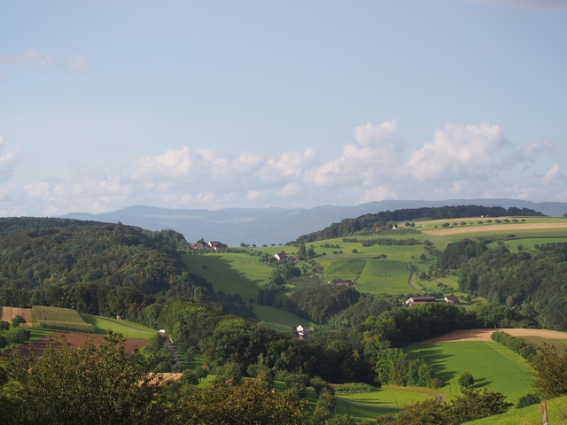 SwissVaccation_20140814-025