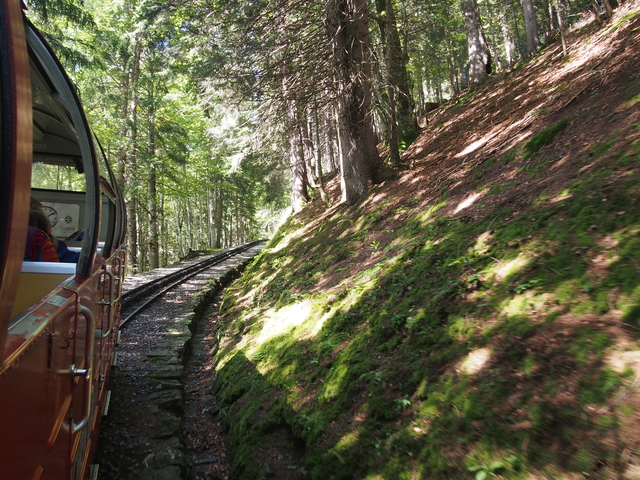 SwissVaccation_20140814-087