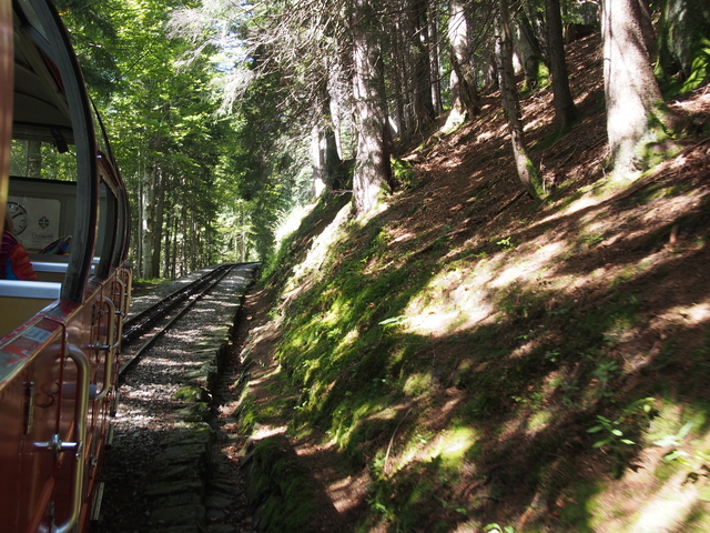 SwissVaccation_20140814-088