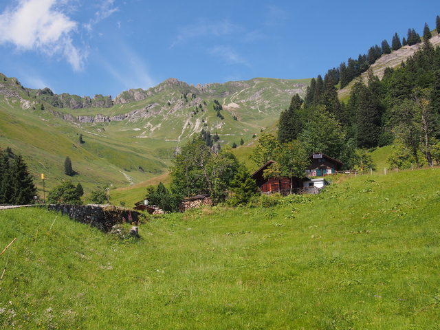 SwissVaccation_20140814-090