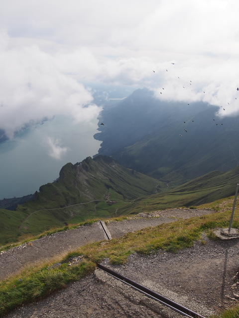 SwissVaccation_20140814-191