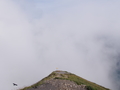 static/tracks/139/SwissVaccation_20140814-193-s.jpg