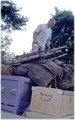 Scout2001-005-l