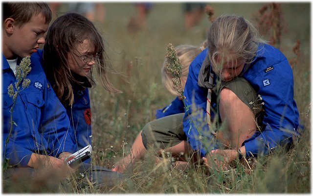 Scout2001-045-l