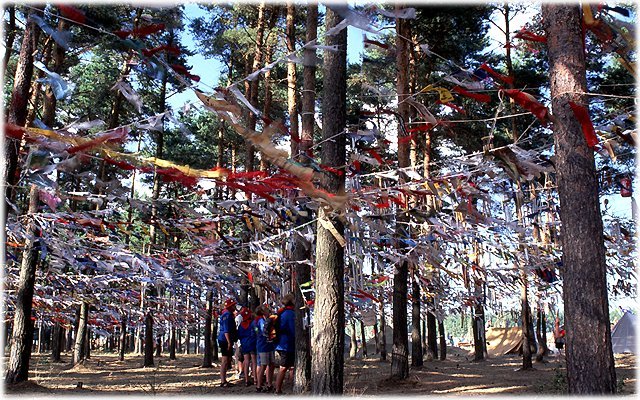 Scout2001-059-l