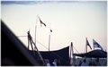 Scout2001-072-l