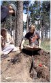 Scout2001-080-l