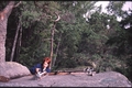Vassaro2005-020