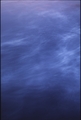 Vassaro2005-032