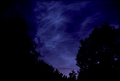 Vassaro2005-033