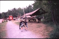 Vassaro2006-004