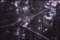 Vassaro2006-007