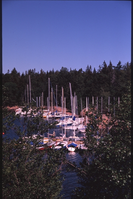 Vassaro2006-026
