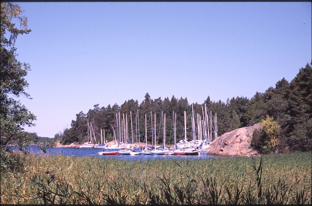 Vassaro2006-033