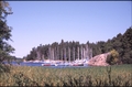 Vassaro2006-033