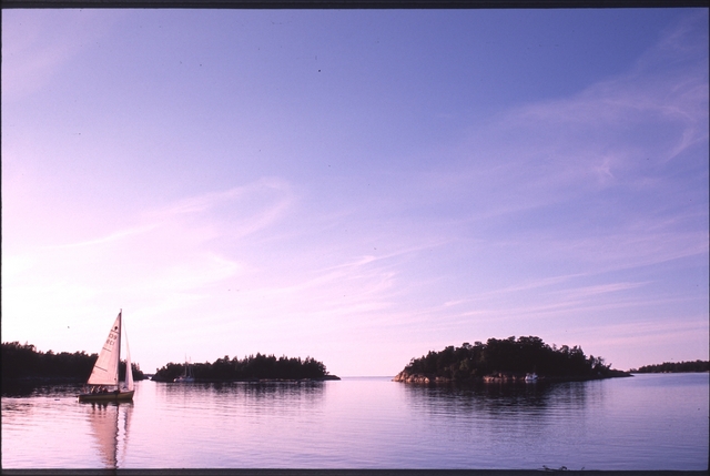 Vassaro2006-040