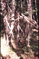 Vassaro2006-046