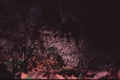 Vassaro2006-049