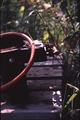 Vassaro2006-067