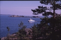 Vassaro2006-081