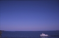 Vassaro2006-082