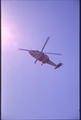 Vassaro2006-084