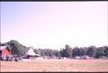 Vassaro2006-086
