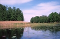 PaddelhajkSpejarna-062