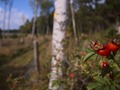 TvaPumpar_2013-061