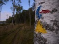TvaPumpar_2013-062