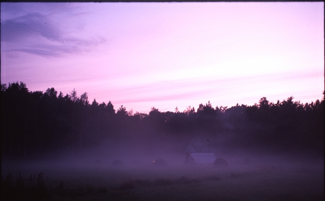 Fog