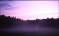 Fog