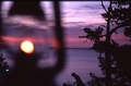 Scouting Sunrise 04