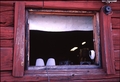 Window to Fladans Boathouse