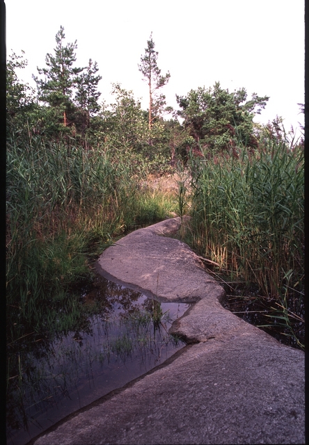 High water on Trapper Trail